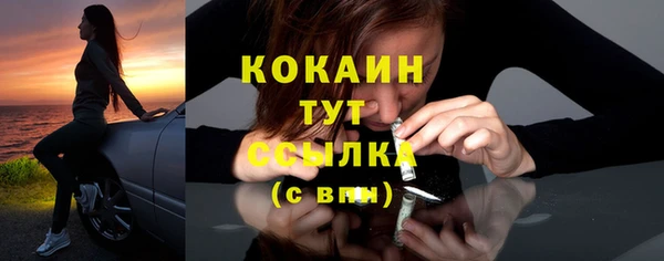 дживик Аркадак
